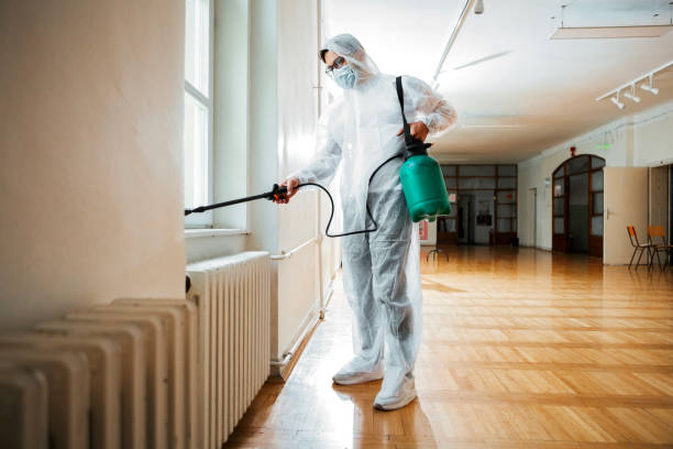 Best Flea Control Services  in , TN