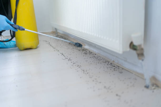 Best Wasp Removal Services  in , TN